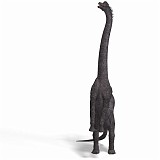Brachiosaurus 04 A_0001